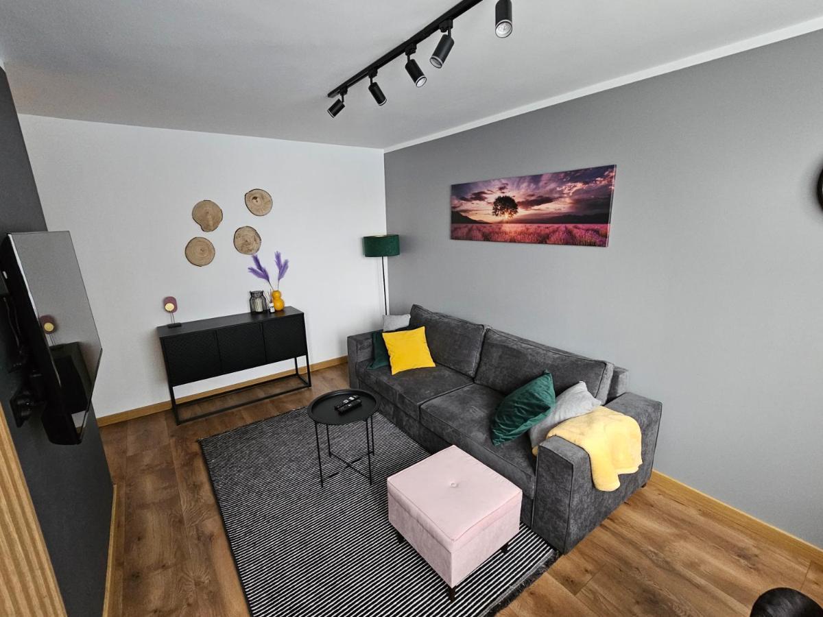Apartament Leszczynska 29 ビエルスコ・ビアバ エクステリア 写真