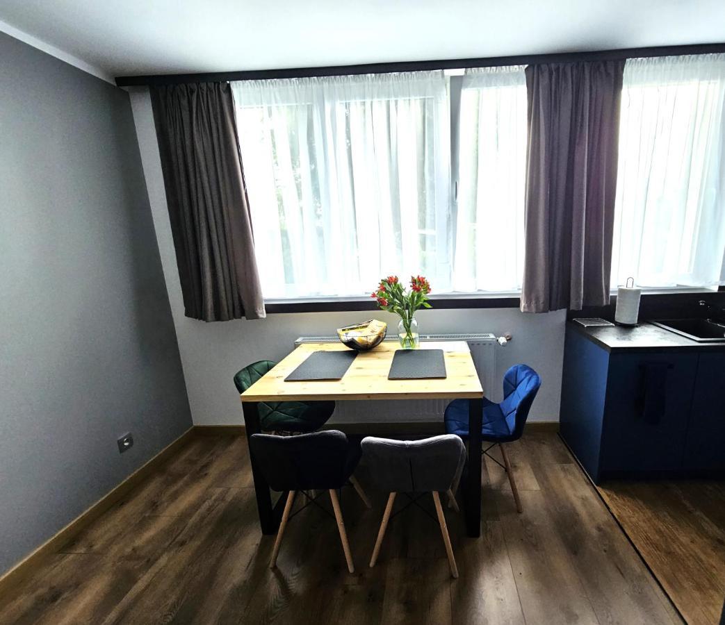 Apartament Leszczynska 29 ビエルスコ・ビアバ エクステリア 写真