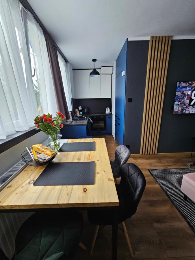 Apartament Leszczynska 29 ビエルスコ・ビアバ エクステリア 写真